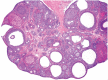 Fig. 12.