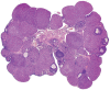 Fig. 11.