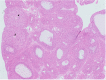 Fig. 10.