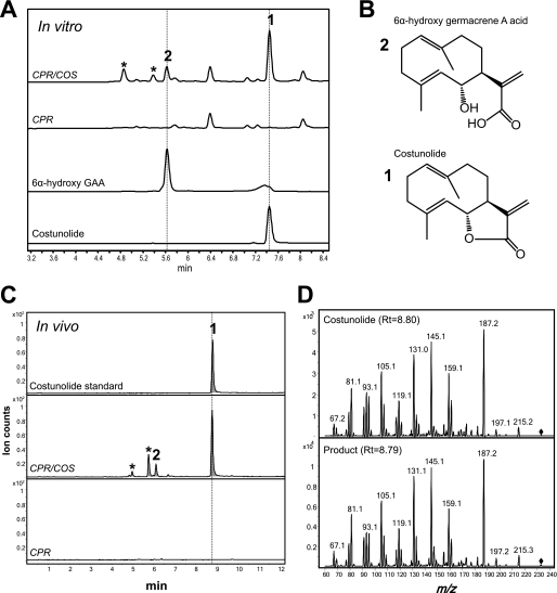 FIGURE 4.