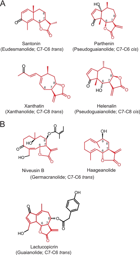 FIGURE 2.