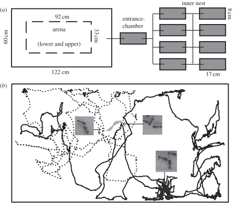 Figure 1.