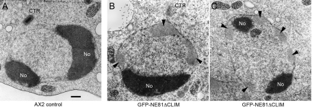 FIGURE 6: