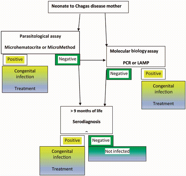 Diagnostics algorithm for congenital Chagas disease.