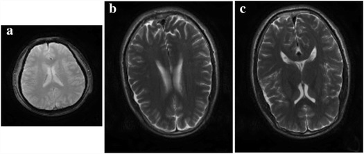 Fig. 8