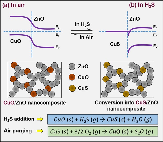 Scheme 2