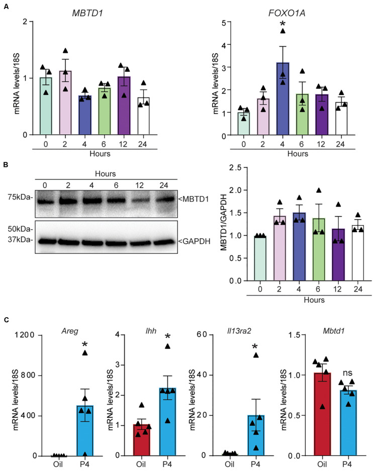 FIGURE 7