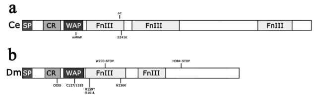 Fig. (3)