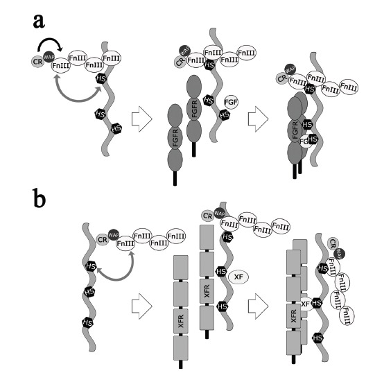 Fig. (4)