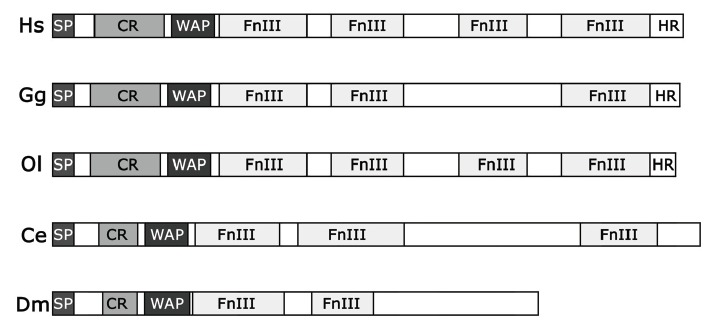 Fig. (1)