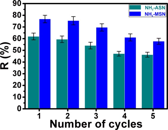 Figure 13