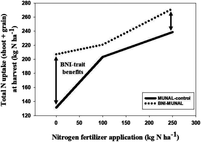 Fig. 8.