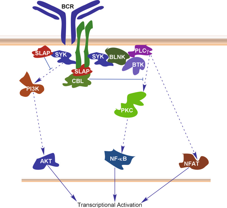 Fig. 3