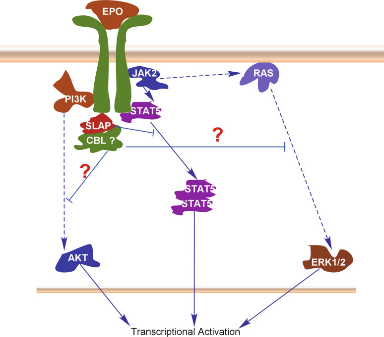 Fig. 4