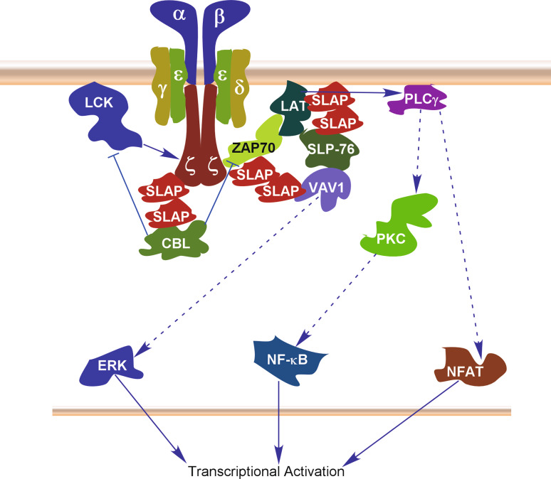 Fig. 2