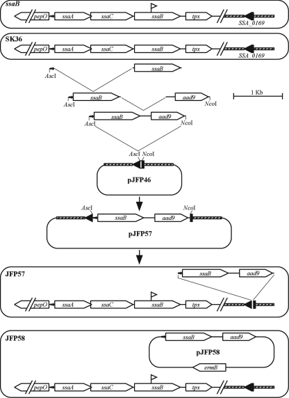 FIG. 5.