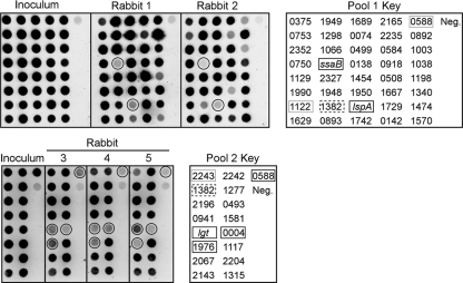 FIG. 2.