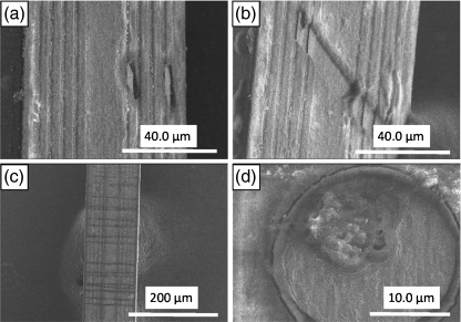 Fig. 10