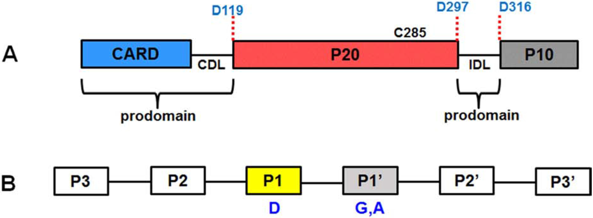 Fig 2.