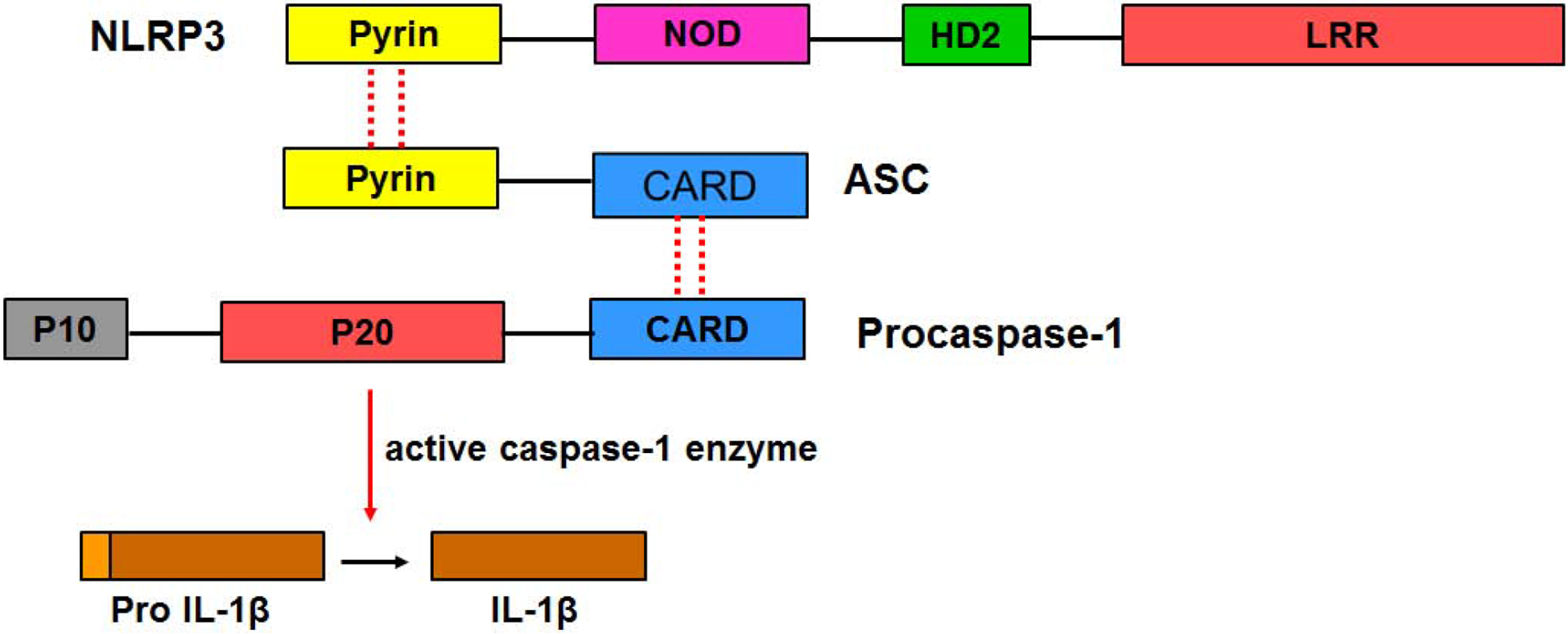 Fig 1.