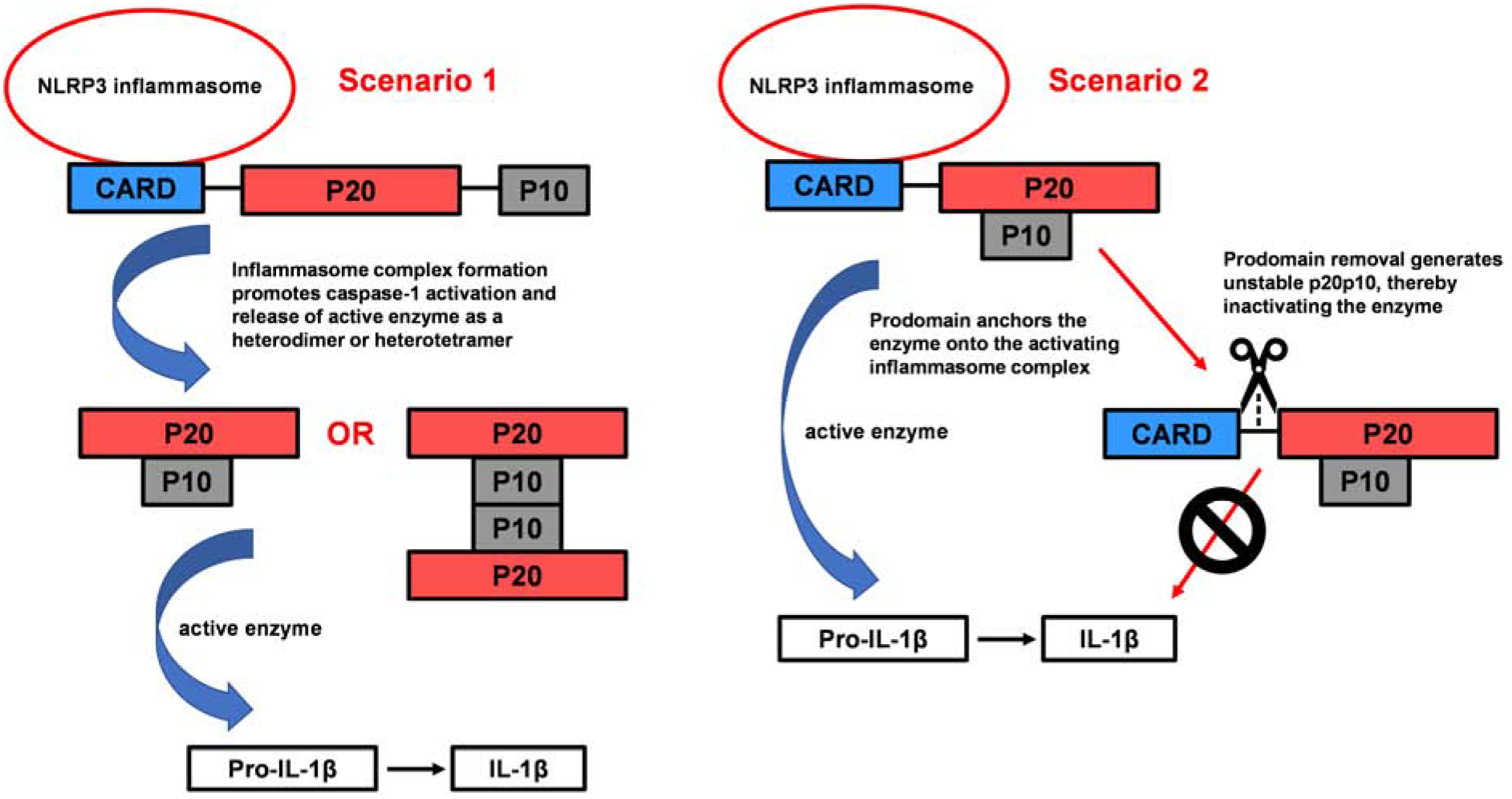 Fig 4.