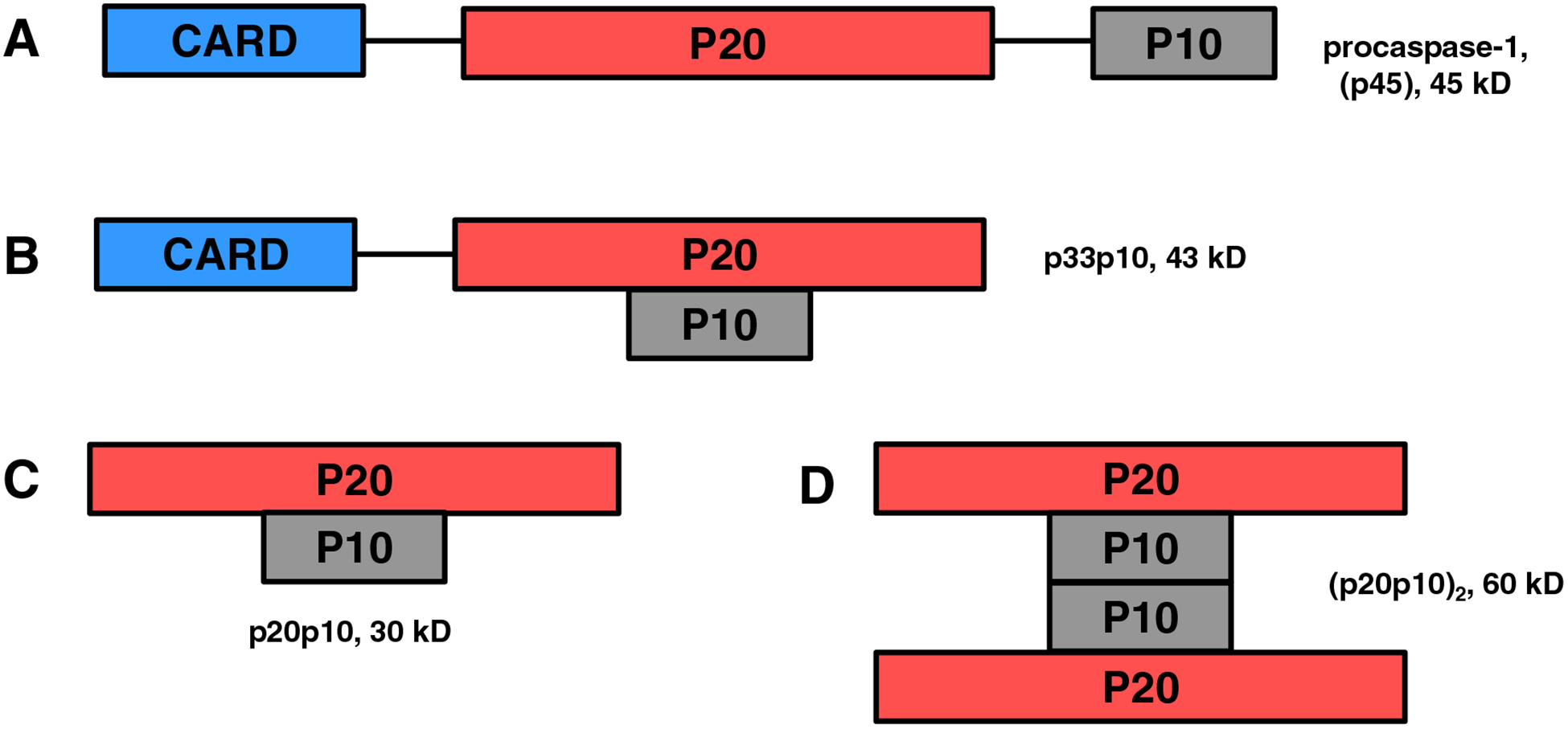 Fig 3.