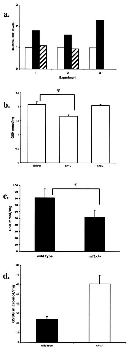 FIG.6.