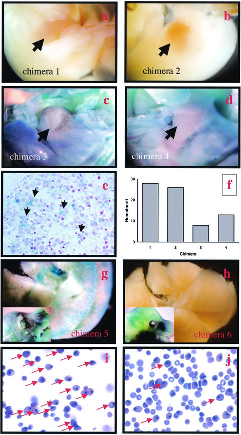 FIG.4.