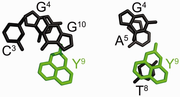 Figure 10.