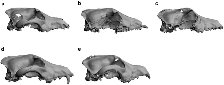 Figure 5