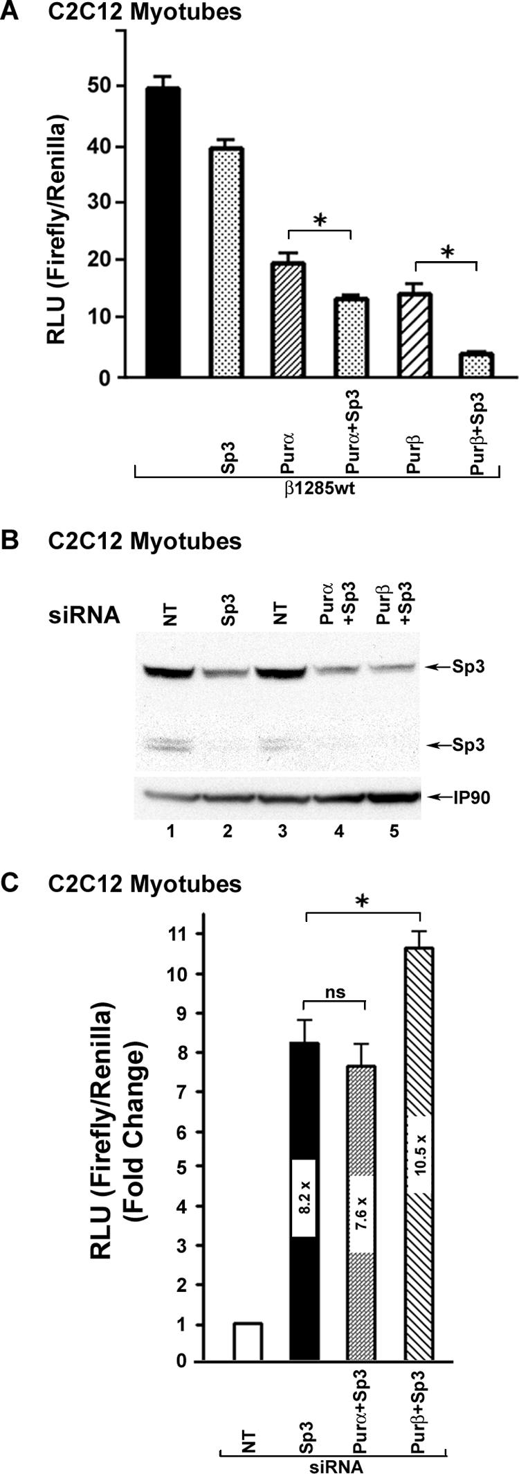 FIG. 8.