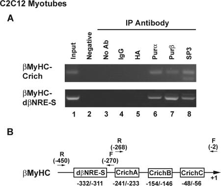 FIG. 9.