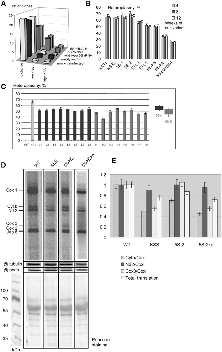 Figure 5.