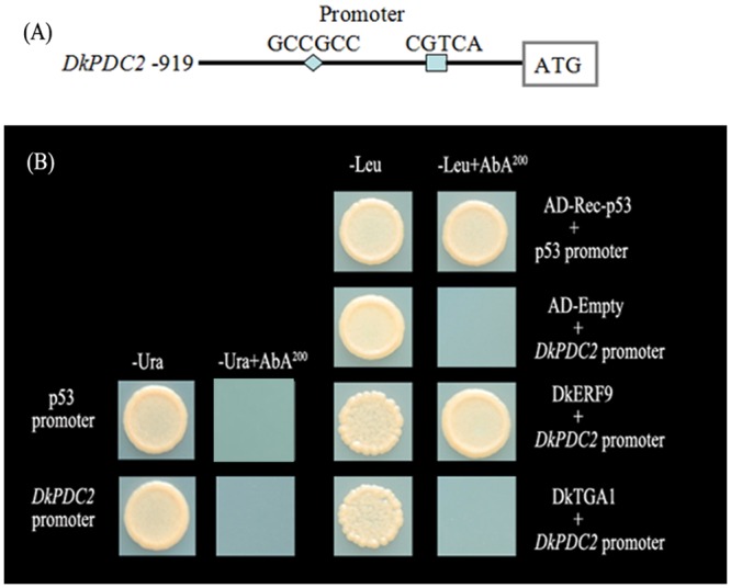 Fig 6