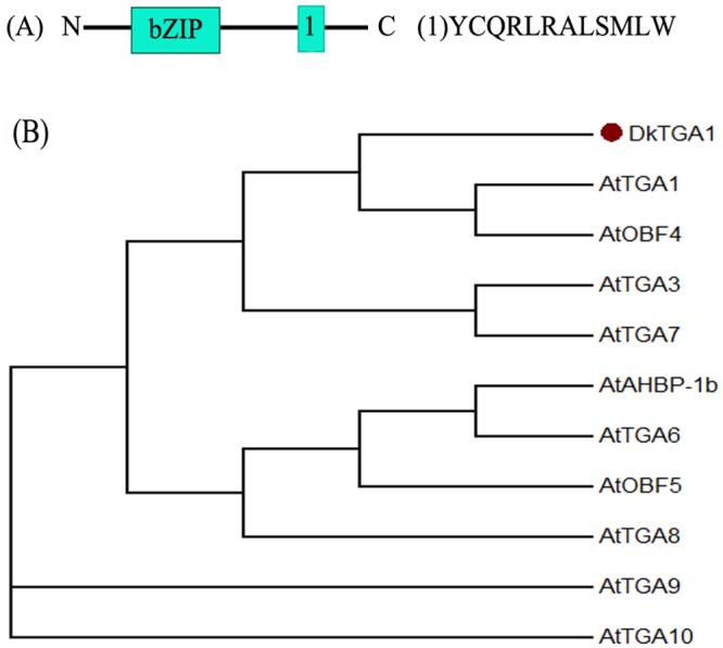 Fig 1