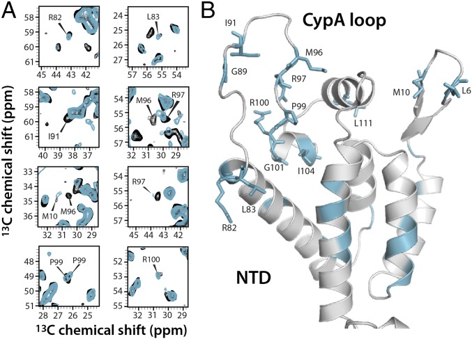 Fig. 3.