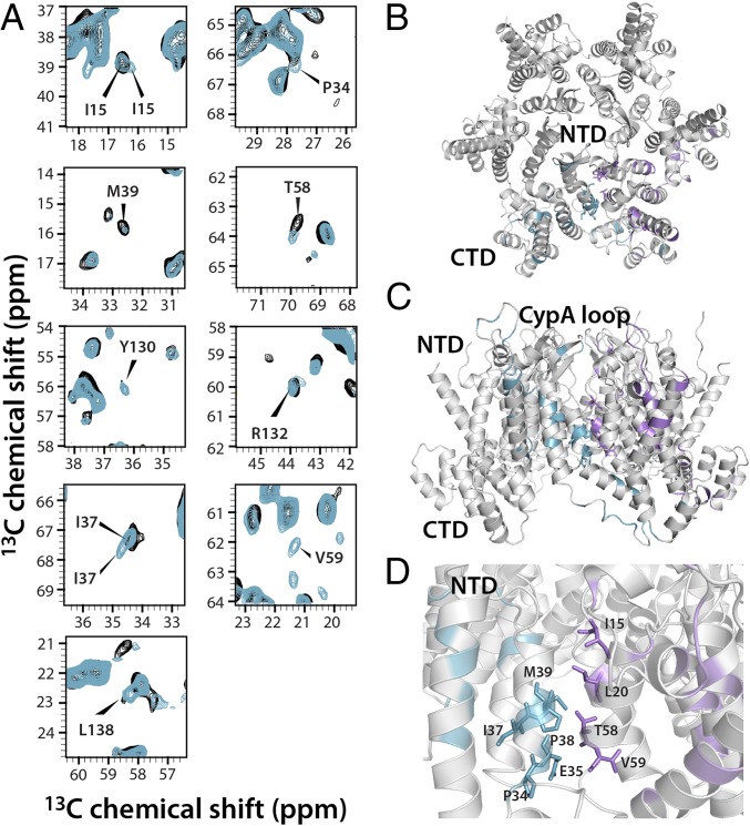 Fig. 4.