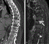 FIGURE 15.