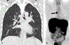 FIGURE 12.