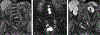 FIGURE 10.
