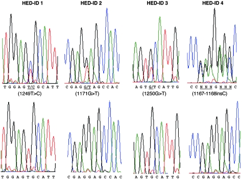 Figure  3