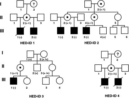 Figure  1