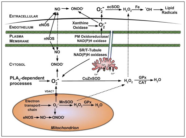 FIG. 4