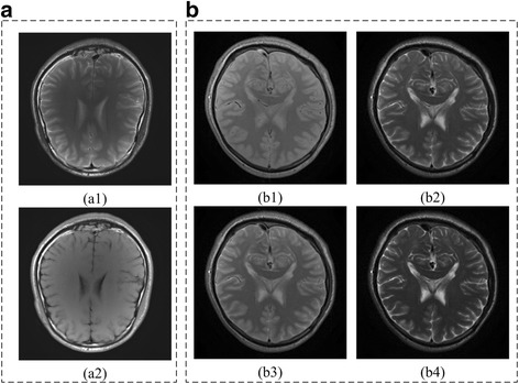 Fig. 7