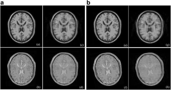 Fig. 16