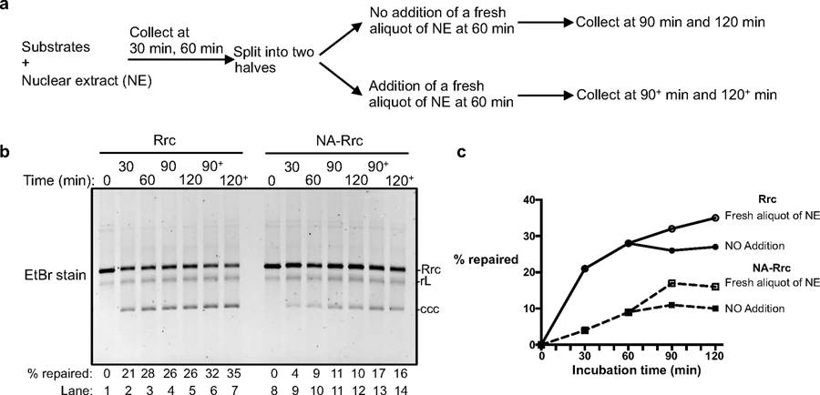 Extended Data Fig. 6