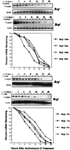FIG. 5