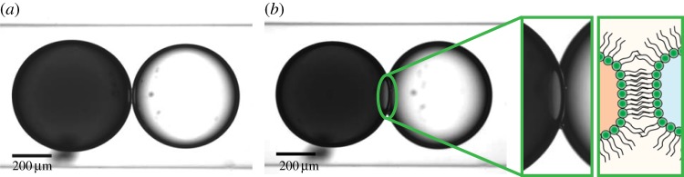 Figure 2.