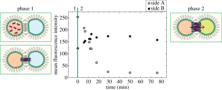 Figure 1.