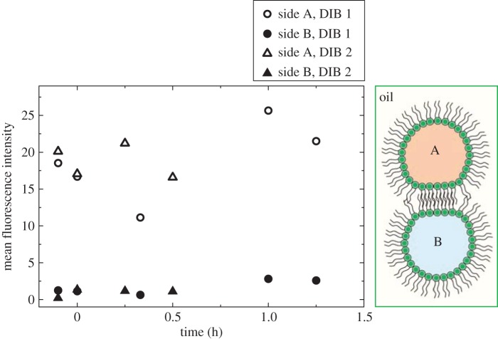 Figure 3.